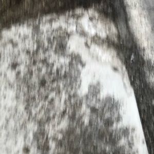 Meet your Posher, Jack